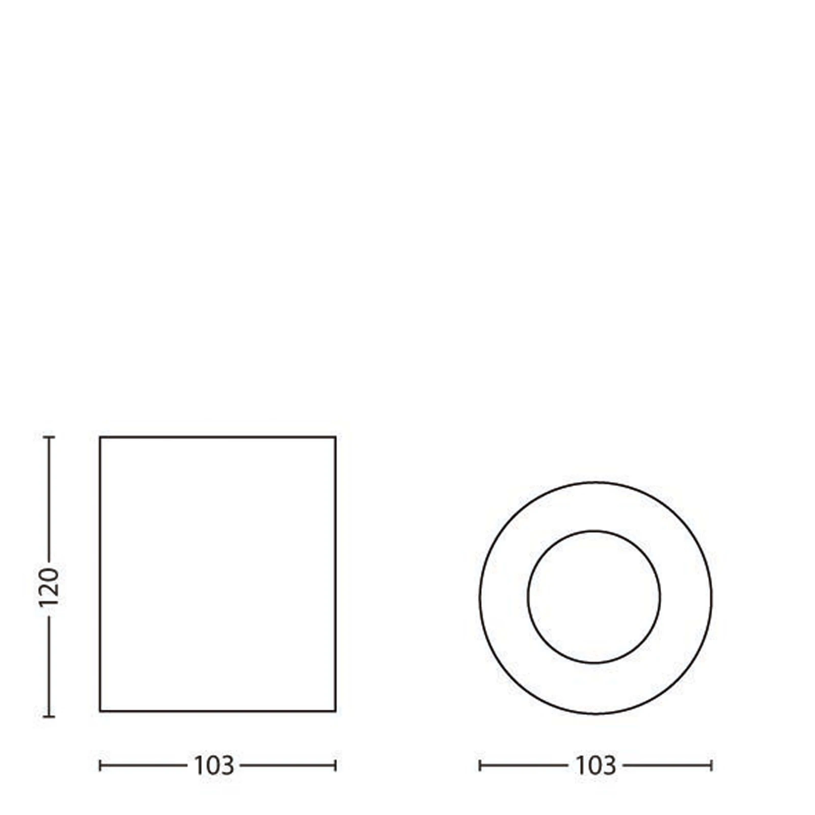 Philips Opbouwspot Pillar 20W zwart