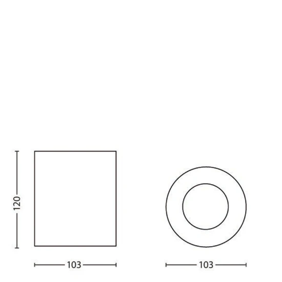 Philips Opbouwspot Pillar 20W zwart
