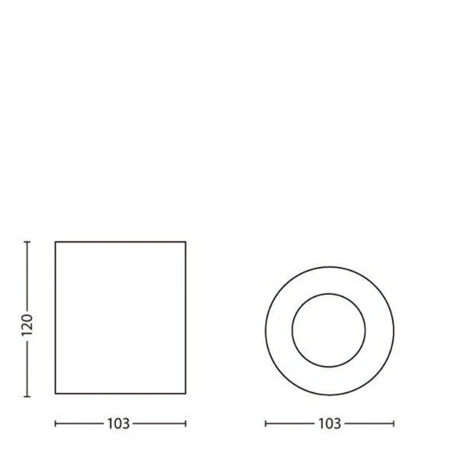 Philips Opbouwspot Pillar 20W zwart