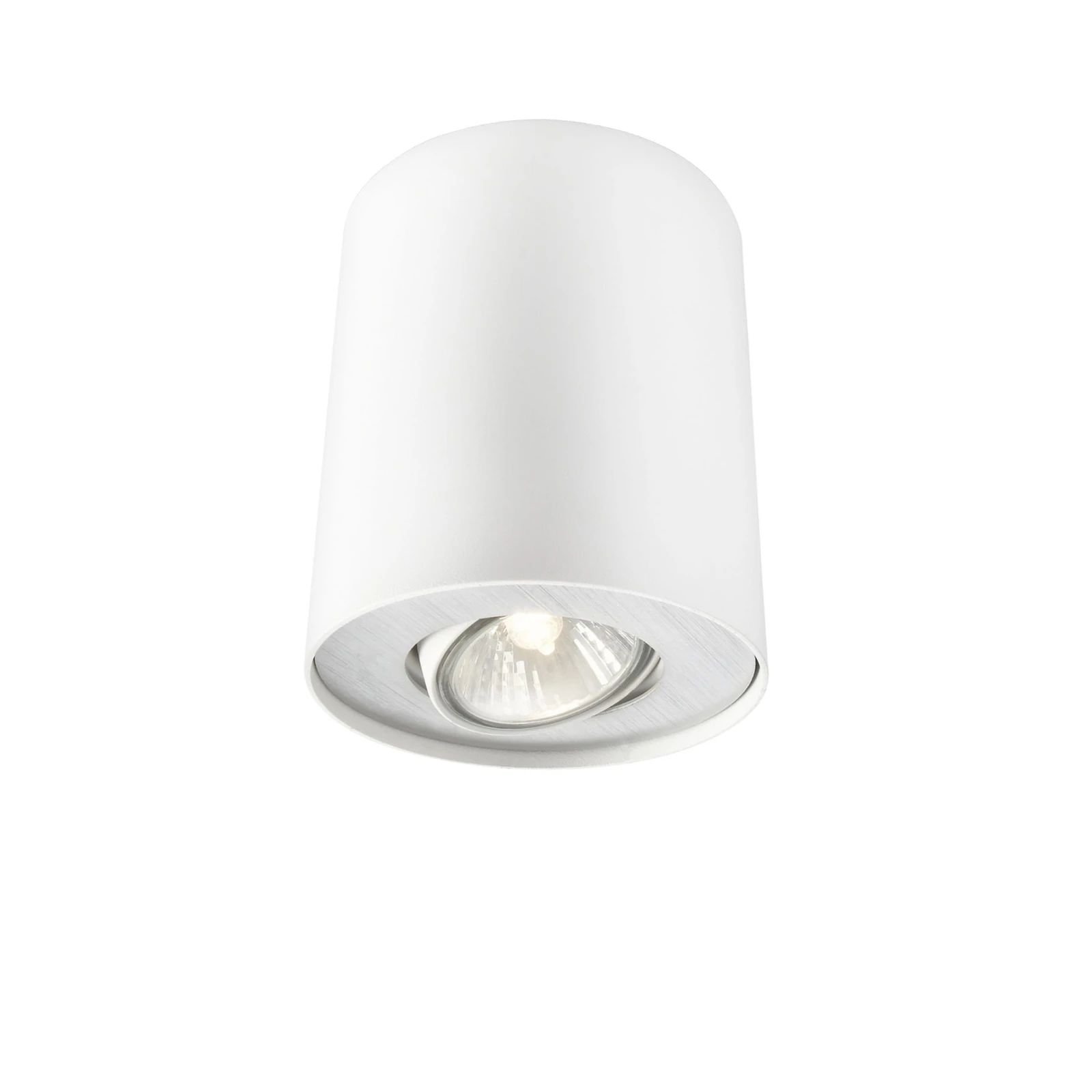 Philips Opbouwspot Pillar 20W wit