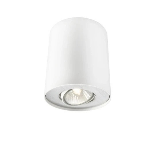 Philips Opbouwspot Pillar 20W wit