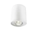 Philips Opbouwspot Pillar 20W wit