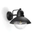 Philips Buitenwandlamp Hoverfly 1x60W 230V zwart