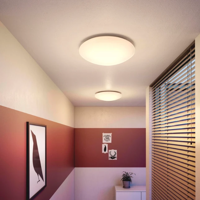 Philips LED-plafondlamp Suede 6500K 24W O380 mm wit