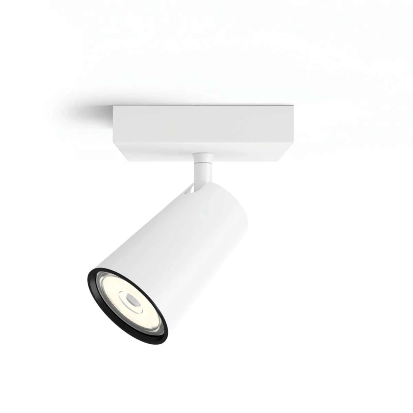 Philips Opbouwspot Paisley wit 1-spot