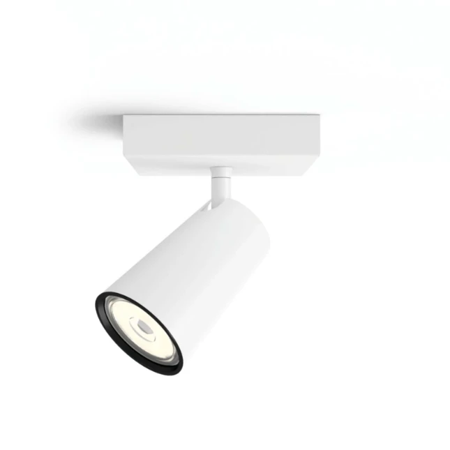 Philips Opbouwspot Paisley wit 1-spot