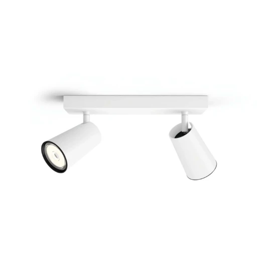 Philips Plafondspot Paisley wit 2-spots