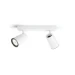Philips Plafondspot Paisley wit 2-spots