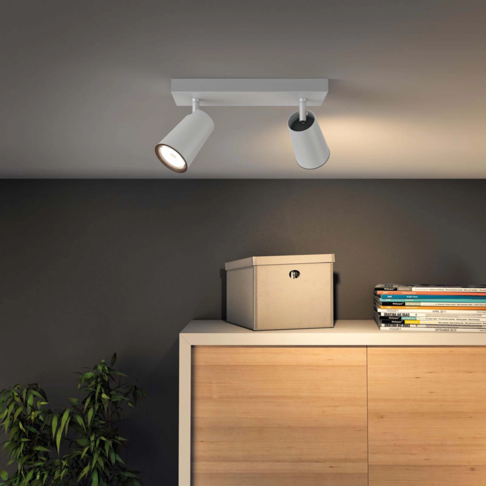 Philips Plafondspot Paisley wit 2-spots