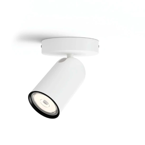 Philips Opbouwspot Pongee wit 1-spot