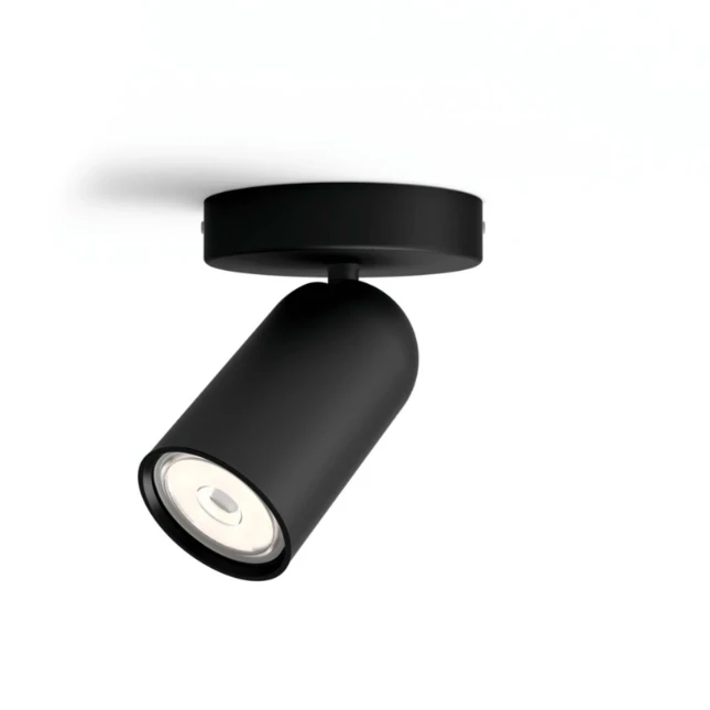 Philips Opbouwspot Pongee zwart 1-spot