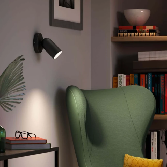 Philips Opbouwspot Pongee zwart 1-spot