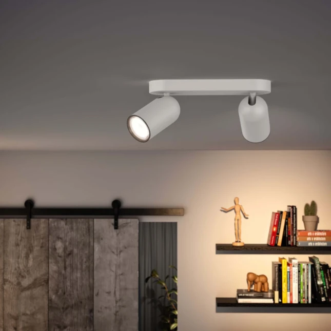 Philips Plafondspot Pongee wit 2-spots