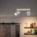 Philips Plafondspot Pongee wit 2-spots