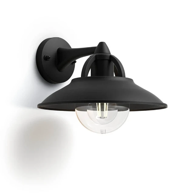 Philips Buitenwandlamp Cormorant 1x42W 230V zwart