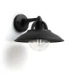 Philips Buitenwandlamp Cormorant 1x42W 230V zwart