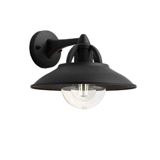 Philips Buitenwandlamp Cormorant 1x42W 230V zwart