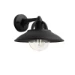 Philips Buitenwandlamp Cormorant 1x42W 230V zwart