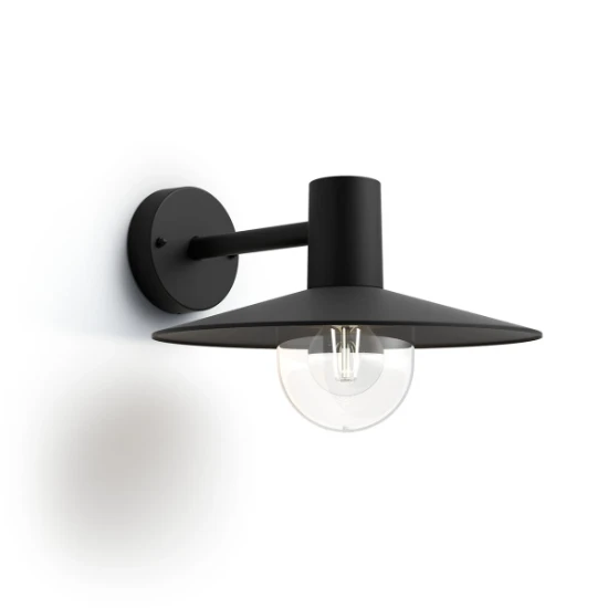 Philips Buitenwandlamp Skua 42W 230V zwart
