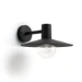 Philips Buitenwandlamp Skua 42W 230V zwart