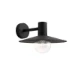 Philips Buitenwandlamp Skua 42W 230V zwart