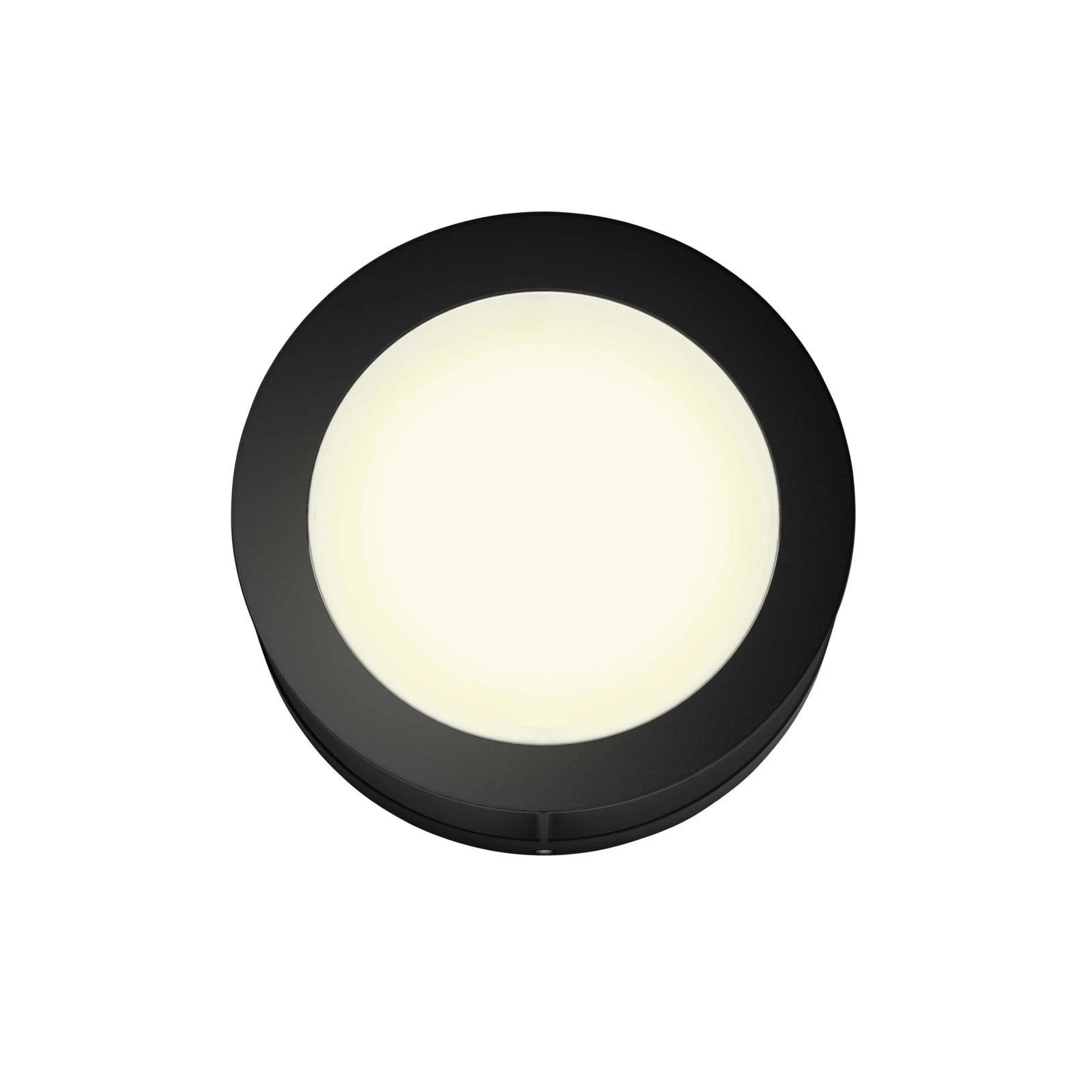 Philips Buitenwandlamp Actea 1x12W 176V zwart