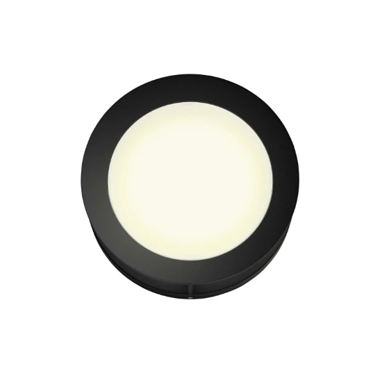 Philips Buitenwandlamp Actea 1x12W 176V zwart