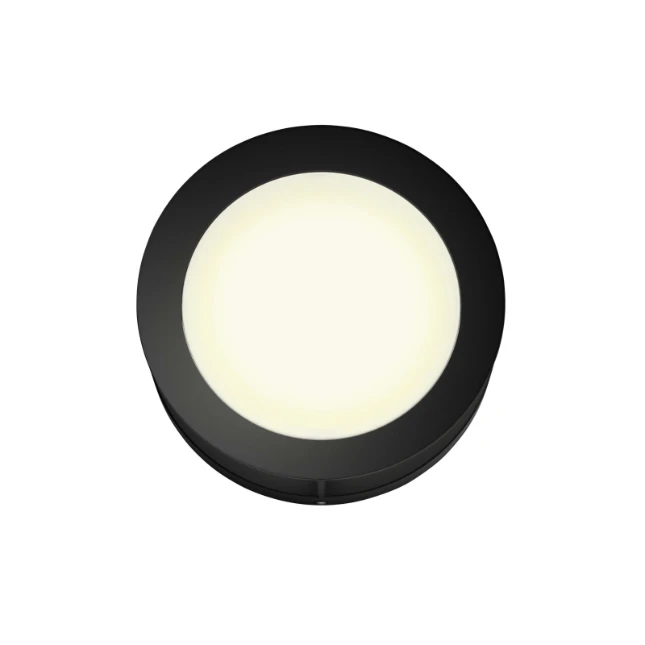 Philips Buitenwandlamp Actea 1x12W 176V zwart