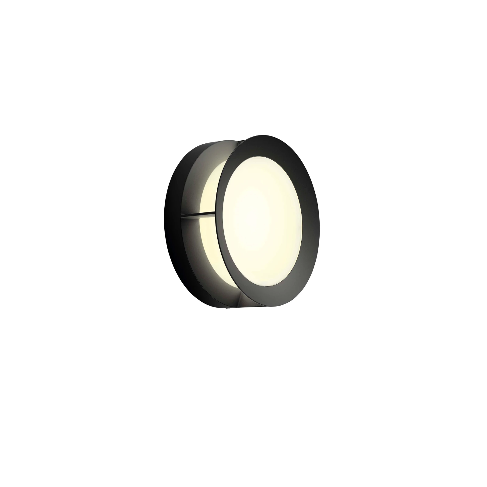 Philips Buitenwandlamp Actea 1x12W 176V zwart
