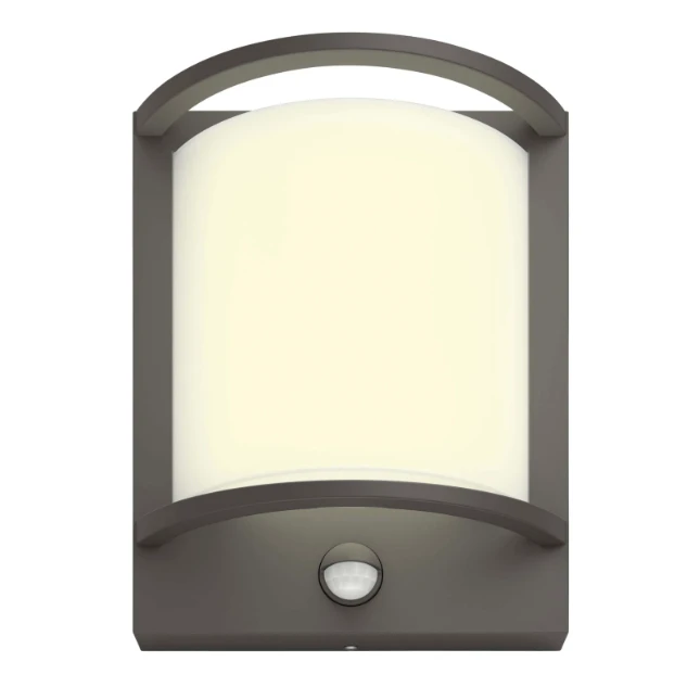 Philips Buitenwandlamp Samondra IR 1x12 antraciet