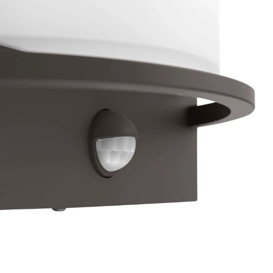 Philips Buitenwandlamp Samondra IR 1x12 antraciet