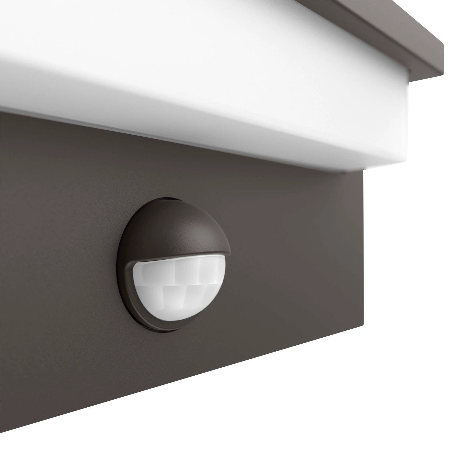 Philips Buitenwandlamp Petronia IR 1x12 antraciet