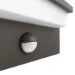 Philips Buitenwandlamp Petronia IR 1x12 antraciet