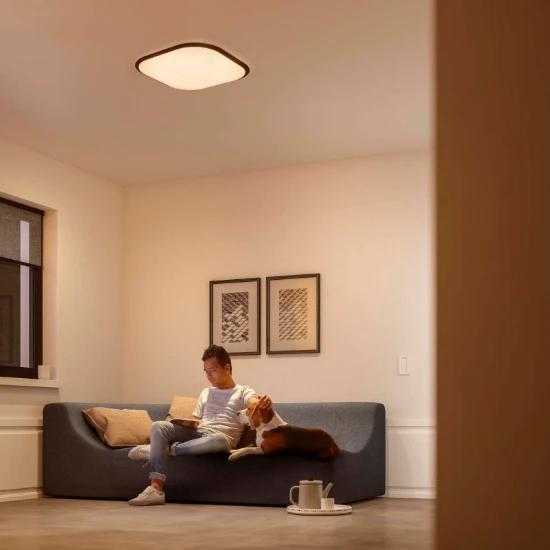 Philips Plafondlamp Cavanal 27K SQ 18W wit