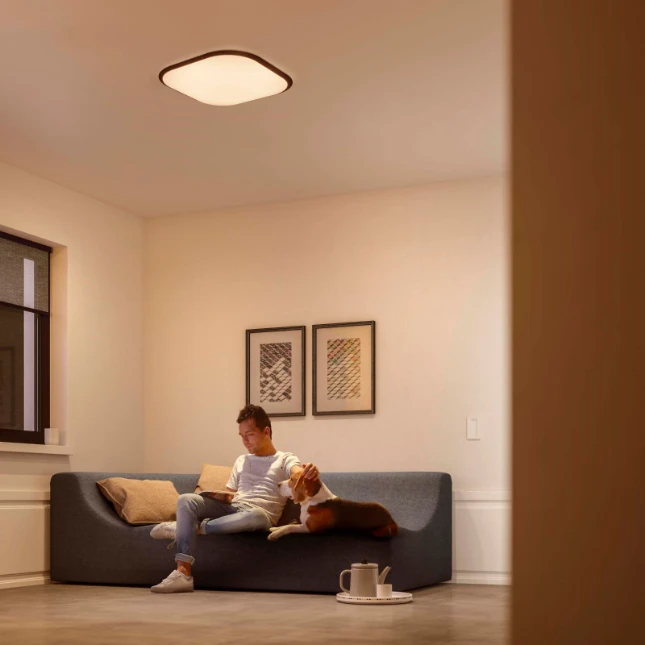 Philips Plafondlamp Cavanal 27K SQ 18W wit