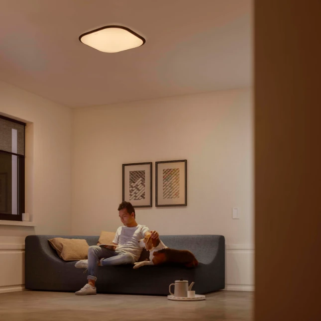 Philips Plafondlamp Cavanal 27K SQ 18W wit