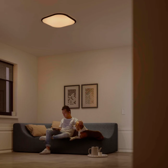 Philips Plafondlamp Cavanal 27K SQ 18W wit