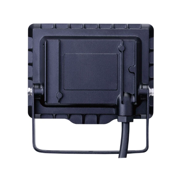 Philips Schijnwerper Floodlight 10W zwart