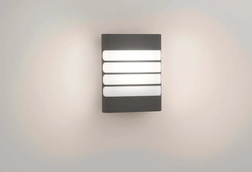 Philips Buitenwandlamp Raccoon 1x3W SEL antraciet