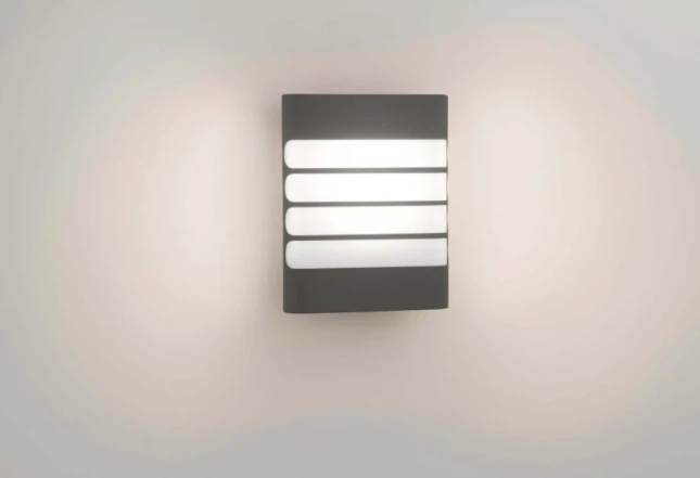 Philips Buitenwandlamp Raccoon 1x3W SEL antraciet