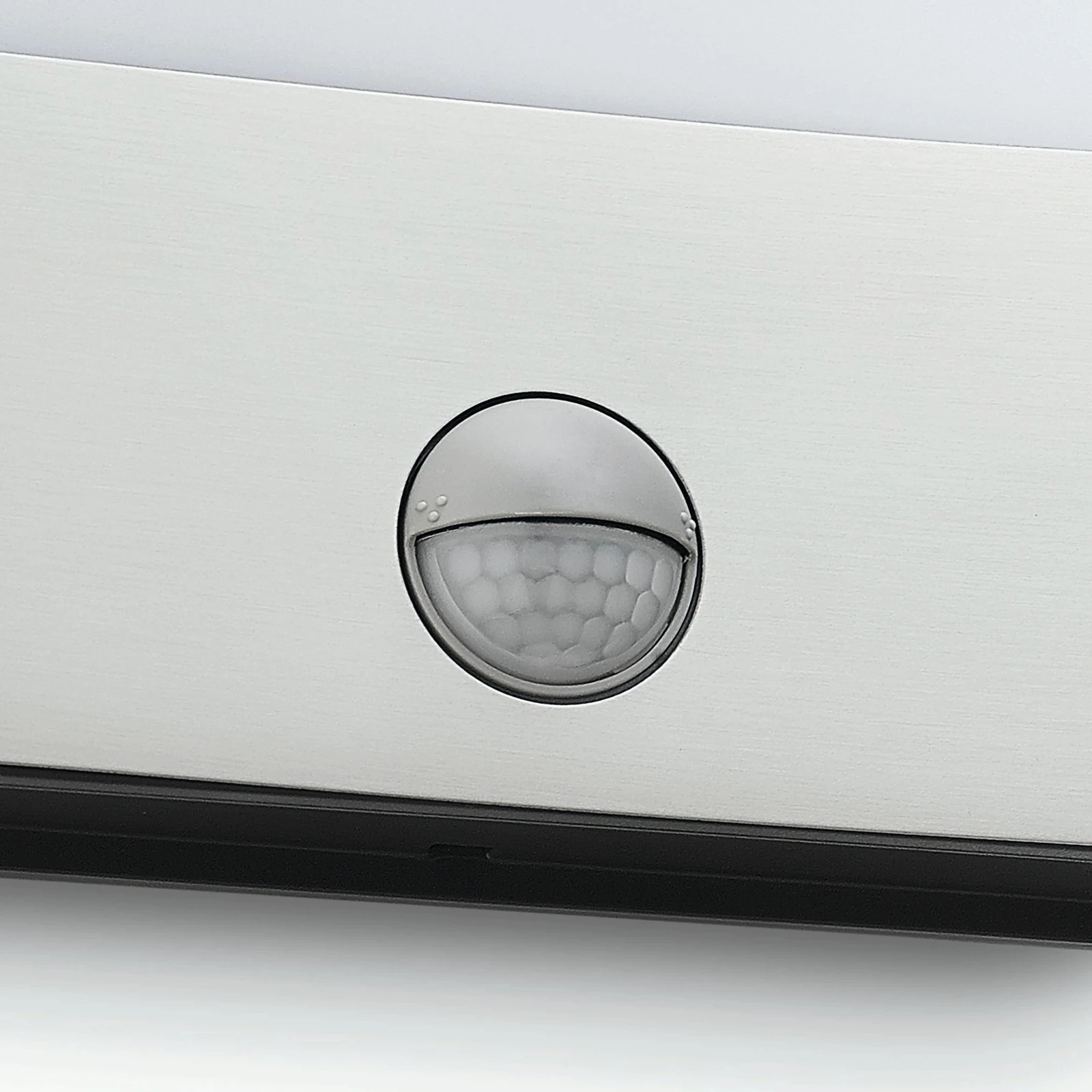 Philips Buitenwandlamp Raccoon 1x3W SELV inox