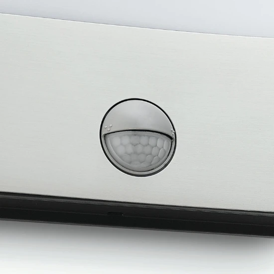 Philips Buitenwandlamp Raccoon 1x3W SELV inox