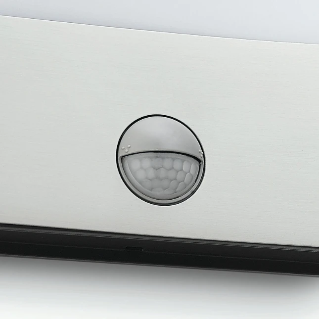 Philips Buitenwandlamp Raccoon 1x3W SELV inox