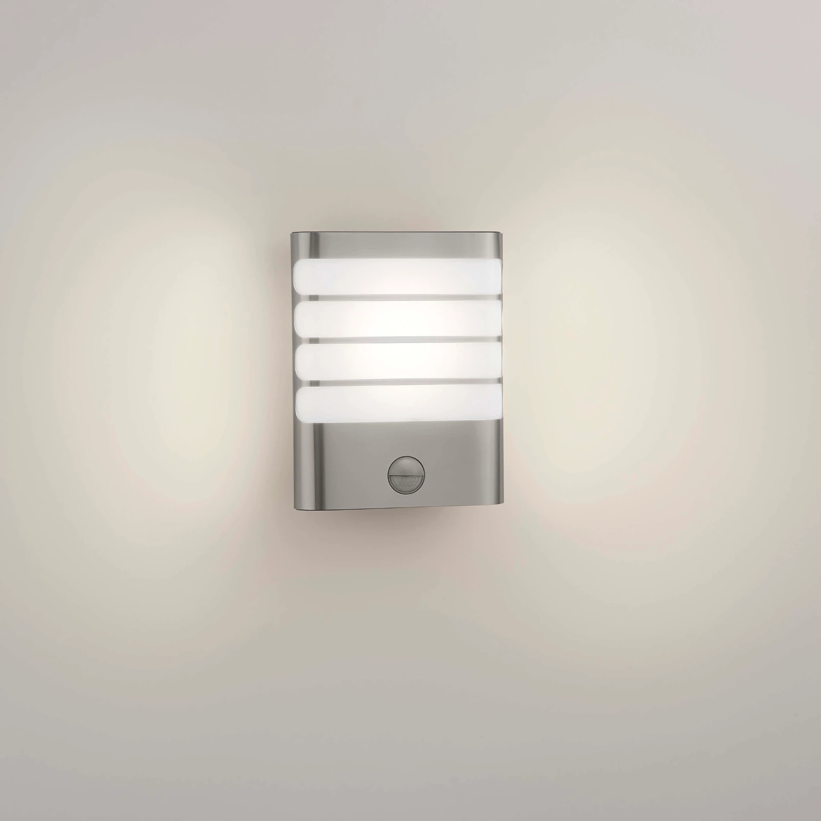 Philips Buitenwandlamp Raccoon 1x3W SELV inox