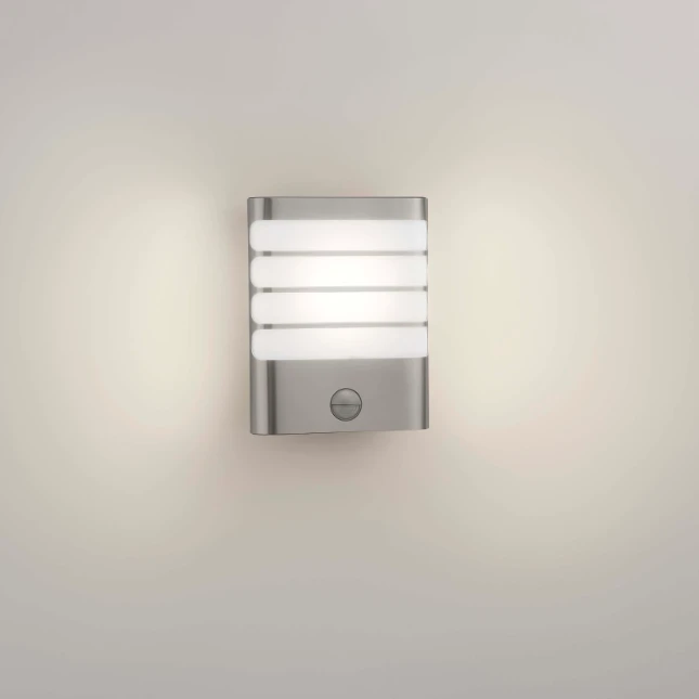Philips Buitenwandlamp Raccoon 1x3W SELV inox