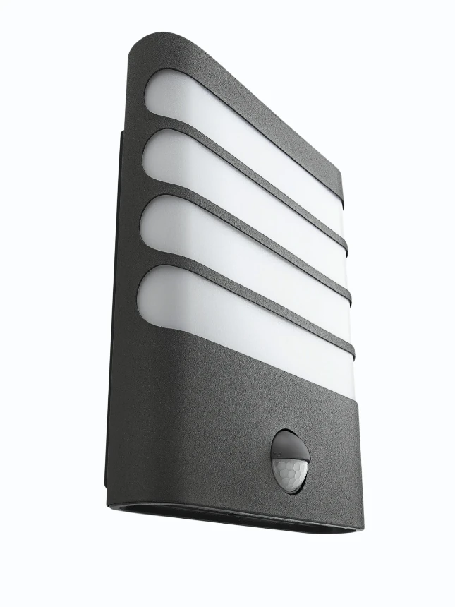 Philips Buitenwandlamp Raccoon 1x3W SEL antraciet