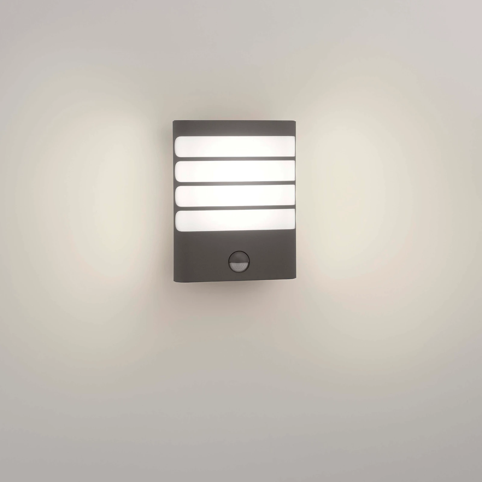 Philips Buitenwandlamp Raccoon 1x3W SEL antraciet