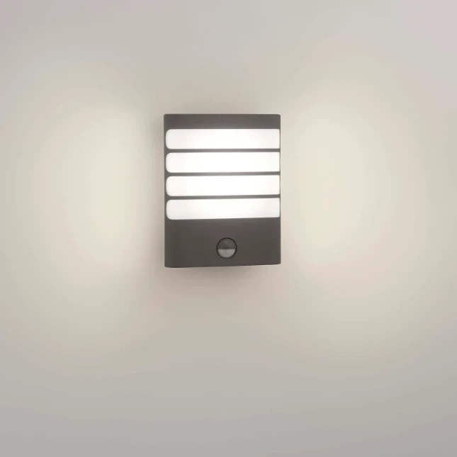 Philips Buitenwandlamp Raccoon 1x3W SEL antraciet