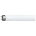 Philips TL-D buis 58W/830 G13 WW