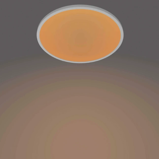 Philips LED-plafondlamp Superslim CL550 18W  2700K O300 mm wit